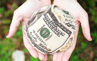 Hands Holding Money Ball